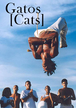 Wall of Posters Item